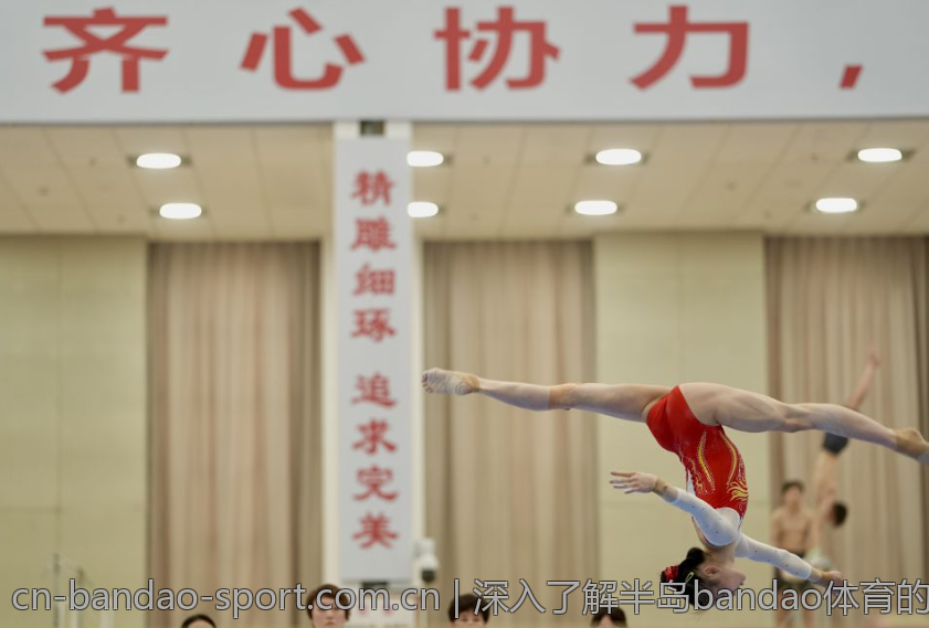 深入了解半岛bandao体育的崛起